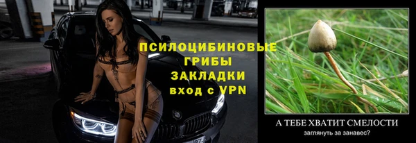 ALPHA PVP Дмитровск
