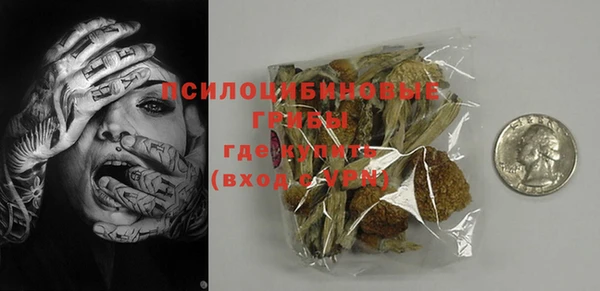 винт Дмитриев