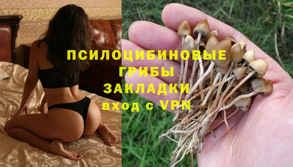 винт Дмитриев