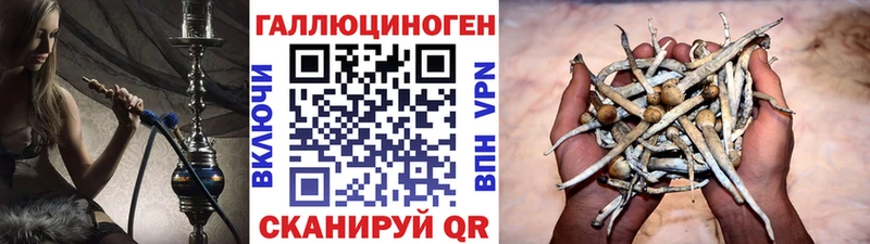 OMG как зайти  где купить наркотик  Приморск  Галлюциногенные грибы мухоморы 